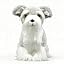 Schnauzer Dog
