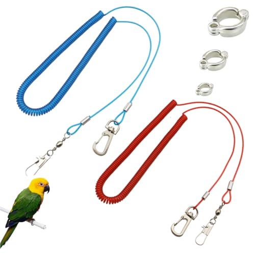 JUGUTA 2 Piezas Cuerda De Entrenamiento Para Loros, Cuerda De Vuelo Loro, Cadena De 5 M Para Pie De Loros, Arnés De Entrenamiento De Vuelo, Cuerda De Pájaro