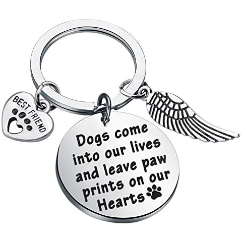 FUSTMW Dog Memorial Gifts Loss of Dog Keychain Sympathy Gift Memorial Jewelry Dog Bereavement Gifts Dog Owner Gifts Angel Charm Dogs Come into Our Lives and Leave paw Prints on Our Hearts (Silver) Cover