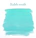 J. Herbin Fountain Pen Ink - 10 ml Bottled - Diabolo Menthe
