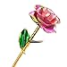24k Gold Rose Flower with Long Stem Rose Dipped in Gold Gift for Women Girls on Birthday, Valentine's Day, Mother's Day, Christmas (Pink+Green)