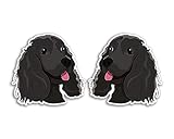 cuccioli di cocker spaniel roma Materiale in vinile lucido da 100 micron di qualità superiore