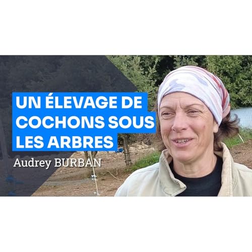 &Eacute;levage Porcin et Agroforesterie dans les C&eacute;vennes