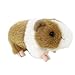 JUNLILIN Juguete de Peluche Guinea Pig Animal Plush Stuffed Doll Kids Toy Gift Sofá Cama Decoración