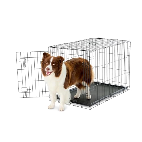 Carlson Pet Products Secure and Foldable Single Door Metal Dog Crate, Intermediate