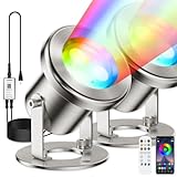 LyLmLe LED Pond Lights with APP Control, 6W SS316 Stainless Steel RGB Underwater Fountain Light with 12V Transformer, IP68 Waterproof Outdoor Underwater Lights for Pond Waterfall, Black Wire(2-Spots)