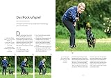 Marker-Training für Hunde: Auf Augenhöhe zum glücklichen und kooperativen Hund