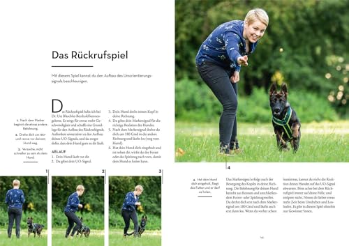 Marker-Training für Hunde: Auf Augenhöhe zum glücklichen und kooperativen Hund