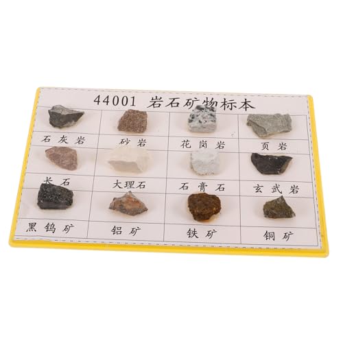 OUNONA 12 Pcs Mineral Rock Specimen for Geology Classroom Plastic Mineral Rock Display Rock Specimen Rock Specimen for Collecting Rock Specimen for Geology Classroom