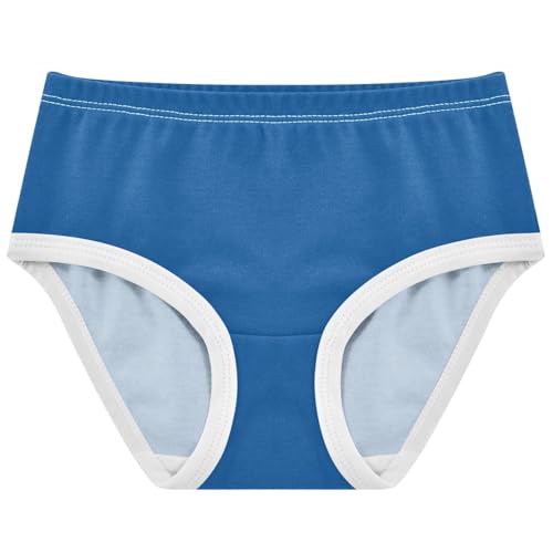 Joisal Cotton Toddler Girls Underwear Mineral Blue Girl Panties Cute Fancy Briefs Kids Undies 2t