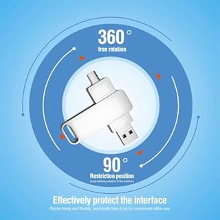 Fpreeza Chiavetta USB 3.1 da 256 GB con porta di tipo C e tipo A, per archiviazione e backup per smartphone OTG
