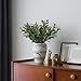 Leftover 6PCS 18Inch Faux Olive Branches for Vase,Artificial Olive Tree Branches,Fake Plants,Greenery Stems,Eucalyptus Stems,Green Leaves for Centerpieces Decoration,Home Decor,Coffee Table Decor