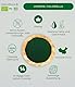 FRISAFRAN | Bio Chlorella Pulver 200g | Bio Chlorella | Chlorella Pulver | Antioxidantiengehalt | rein und natürlich | Mikroalgen | Pflanzenfaser | Entgiftung | Pflanzliches Protein | Ohne Zusätze
