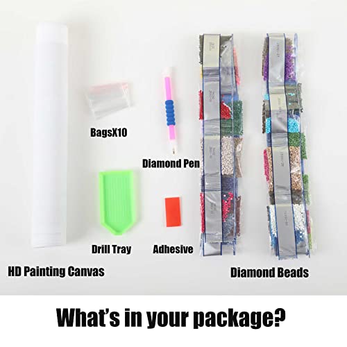 Chwglfgg Christmas Diamond Painting Kits For Adults Beginner,5D Red Truck Diamond Art Kits,Winter Snowman Gem Art Diy Paint By Full Round Drill Diamonds,Home Wall Decor 12X16 Inch #TOP4