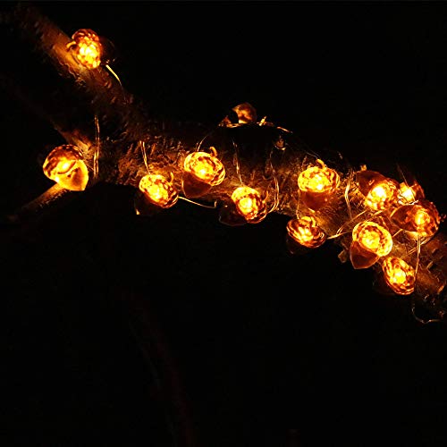X-Giftkey 18Ft 40Led Acorn Solar Led String Lights Outdoor,Solar Turkey Light Thanksgiving Decorations,Home Kitchen Solar Fall Decor Light For Autumn,Halloween. #TOP5