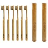 Gaia Guy Bamboo and Boar Hair Toothbrush and Travel Case Bundle