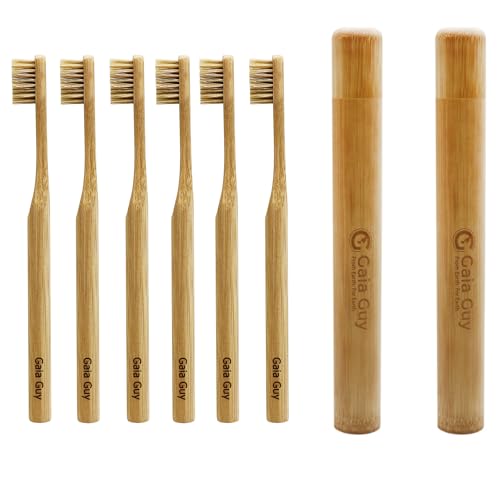 Gaia Guy Bamboo and Boar Hair Toothbrush and Travel Case Bundle