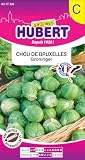Graines de Chou de Bruxelles Groninger - 2 grammes...