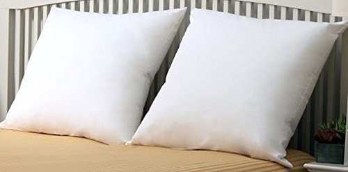 Web Linens Inc Premium- Set of 2-26