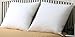 Premium- Set of 2 - 26" x 26" - Euro Pillow-Down Alternative - 100 GSM Shell Fabric - Exclusively for Blowout Bedding RN# 142035