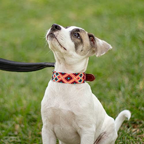 Moots Root Hand-Knitted Leather Pet Collar Pink Small,Art110S #TOP2