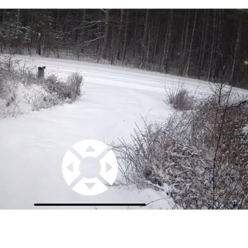 Earn money with AI in 2026