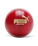 PUMA Cricketball aus Leder, Cricket-Power, Rot