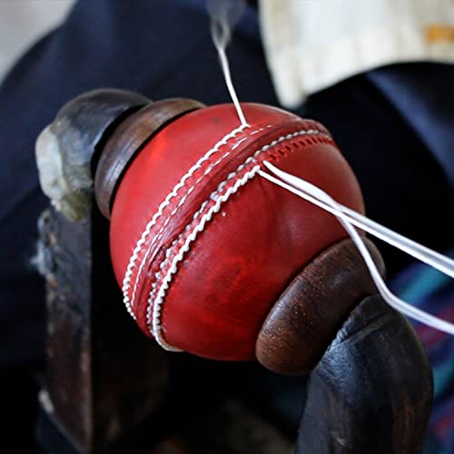 Image of SG Cricket Balls Shield 20*(Red), Leather