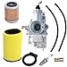 250 Carburetor for Yamaha Timberwolf YFB250 YFB250FW with 1YW-14451-00-00 Air Filter 1992-2000 YFB250D YFB250E YFB250FWF YFB250FWH YFB250FWJ YFB250FWK YFB250FWM Oil Filter Spark Plug ATV Parts