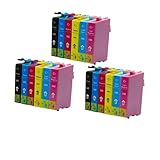 Compatible : fonctionne avec les modèles de cartouches T0481-T0486 Compatible avec une impression fiable.