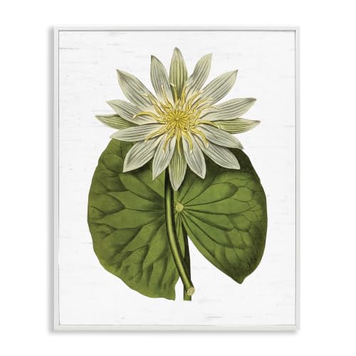 Vintage Water Lily Pond Botanical, 11 x 14 Inch Framed Giclée Print