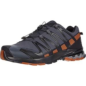 [サロモン] トレイルランニングシューズ XA PRO 3D V8 GORE-TEX (エックスエープロ 3DV8 ゴアテックス) メンズ エボニー/キャラメルカフェ/ブラック 26.0 cm