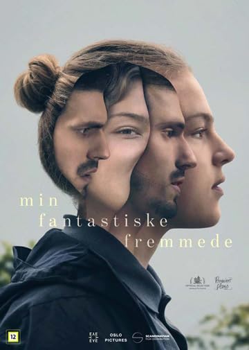 Cine nórdico: My Wonderful Stranger en DVD importado de Noruega sin español