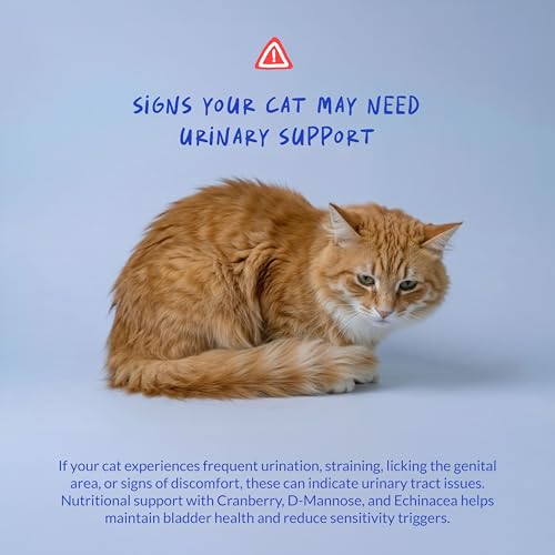 Image of Cranberry for Cats Powder - UTI, Bladder Health & Incontinence