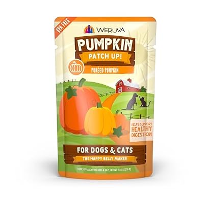 The 10 Best Pumpkin Cat Foods for Digestive Health [2026 Picks]