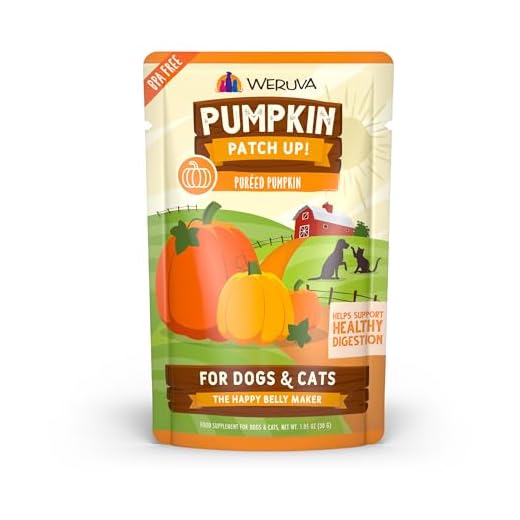 Weruva Pumpkin Patch Up! Pumpkin Puree Pet Food Supplement for Dogs & Cats, 1.05oz Pouch (Pack of 12)