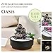 Zimmerbrunnen für den Garten, Zen, Wasserfall, Glas, buntes LED-Licht, Dekoration für entspannte Atmosphäre, Garten, Zen weißer Sand, Tischbrunnen, geschlossener Kreislauf, H21 cm – Oasis Zen'Light