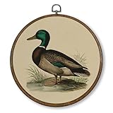 Qskjre Mallard Duck Wall Art Decor, Vintage Country Duck Hunting Round Wood Framed Canvas Wall Artwork, Nature Wildlife Waterfowl Hanging Prints for Nursery Boy Bedroom Decorations 10'x10'
