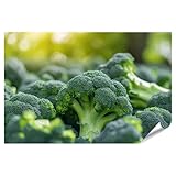 islandburner XXL Bild Poster Lebhaftes Wandbild mit Bio-Brokkoli-Motiv, Symbol für gesunde Ernährung Küche Bio-Supermarkt