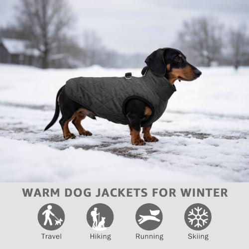 Image of SCENEREAL Dachshund Winter Dog Vest Coat with Harness Built in