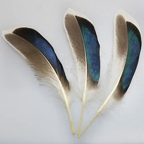 Luorng 150Pcs Duck Feathers, Natural Feathers For Diy Craft Art, Decor Feathers For Carnival Halloween Handwork Clothing Costumes Hair Hats Crafts Home Wedding Party Decoration #TOP3