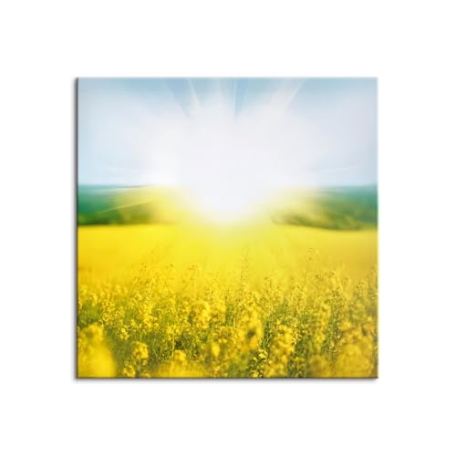 yK^z t@ubNpl LoXpl LoXA[g G rO gC ւɏ  CeA Ǐ v[g A[gpl |X^[ t[  Ǌ| G ؘgt̊i? (50x50cmi20x20inj,A)