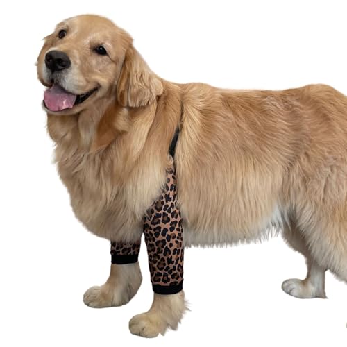 Coudière de convalescence pour chien actif - Protège-articulation souple - 2