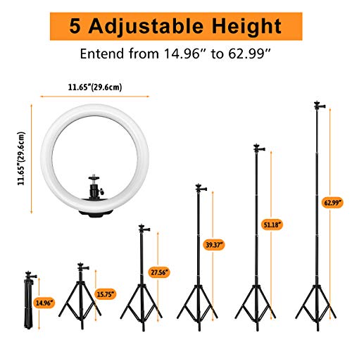 25,4 cm Live Stream Ring Selfie Licht 26 RGB Modi 8 Helligkeitsstufen dimmbar Schreibtisch Make-up Schönheit LED… – Bild 6