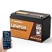 12V 100Ah Self-Heating LiFePO4 Lithium Battery with Smart APP, 4000+Cycle LiFePO4 Battery, Built-in 100A BMS, Wireless Real-Time Battery Monitor Function for RV, Marine, Off Grid Application