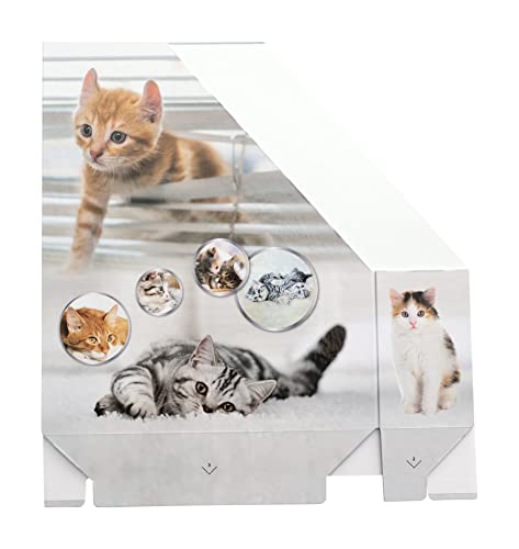 Image of HERMA 19717 Magazine File A4 with Cats Motif, 7.5 cm Wide, Foldable, Sturdy Cardboard, Slim Magazine Holder for Girls and Boys, Standing File for Storing Documents, Documents, Folders