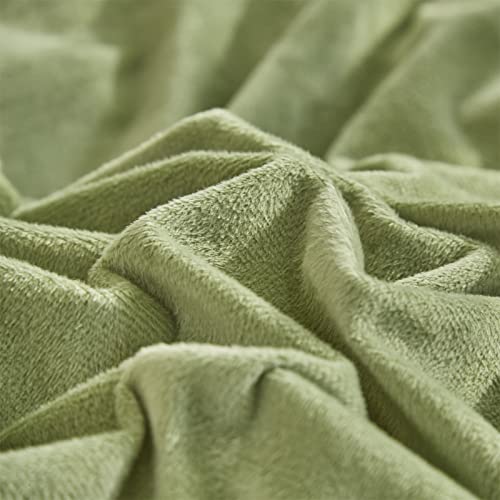 Pureant Sage Green Velvet Comforter Sets Full Solid Light Green Fluffy Bedding Comforters Women Men Grass Green Flannel Quilts Micromink Sherpa Fuzzy Warm Bed Girls Boys Dorm Plush Bedding Soft #TOP5