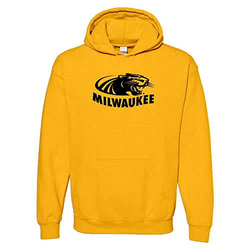 UGP Campus Apparel NCAA Primary Logo Hoodie