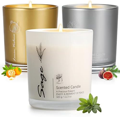 3 Pack Candles for Home Scented, Aromatherapy Candles Gift for Women, 11.3oz Soy Scented Candles for Cleaning House, Candle Gifts Set for Birthday Mother's Thanksgiving Day Present