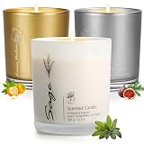 3 Pack Candles for Home Scented, Aromatherapy Candles Gift for Women, 11.3oz Soy Scented Candles for